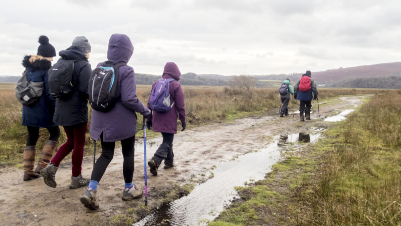 Photograph of Walking Route - Image 29