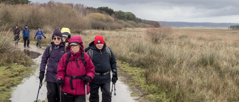 Photograph of Walking Route - Image 30