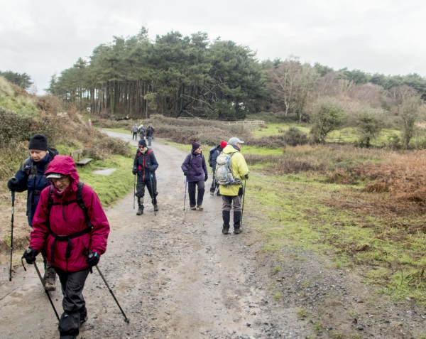 Photograph of Walking Route - Image 34