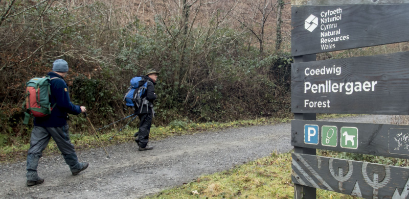 Photograph of Walking Route - Image 5