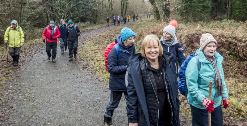 Photograph of Walking Route - Image 11