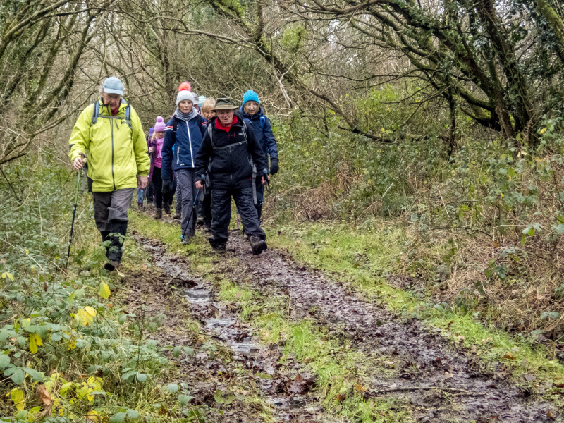 Photograph of Walking Route - Image 13