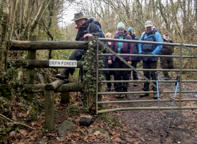 Photograph of Walking Route - Image 17