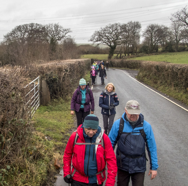 Photograph of Walking Route - Image 18