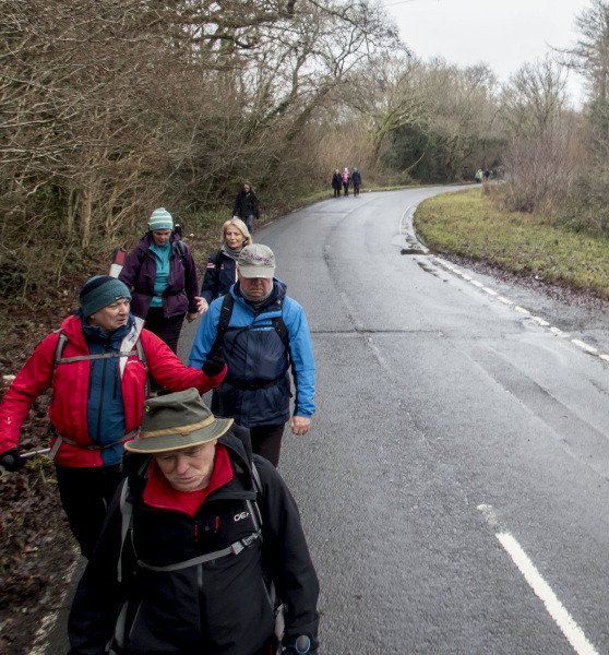 Photograph of Walking Route - Image 20