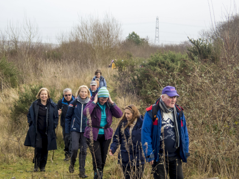 Photograph of Walking Route - Image 26