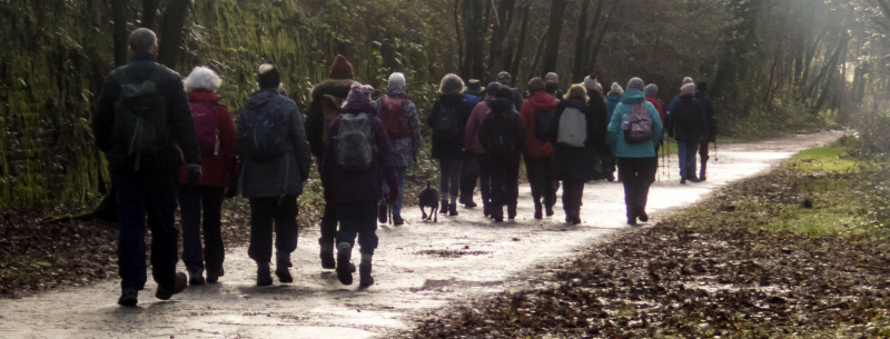 Photograph of Walking Route - Image 19