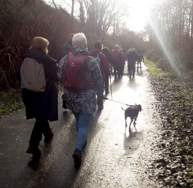 Photograph of Walking Route - Image 21