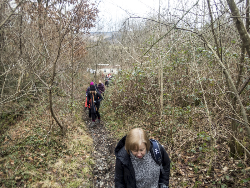 Photograph of Walking Route - Image 4