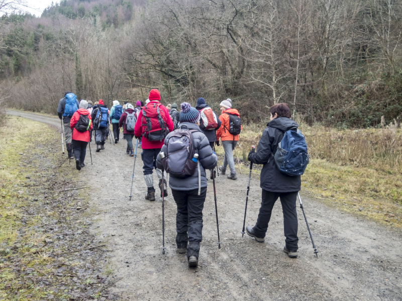 Photograph of Walking Route - Image 5