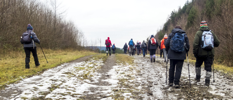 Photograph of Walking Route - Image 6