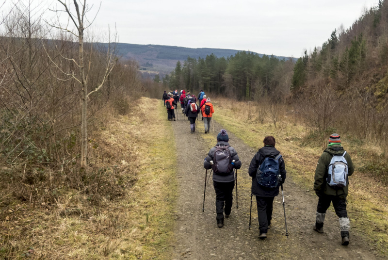 Photograph of Walking Route - Image 7