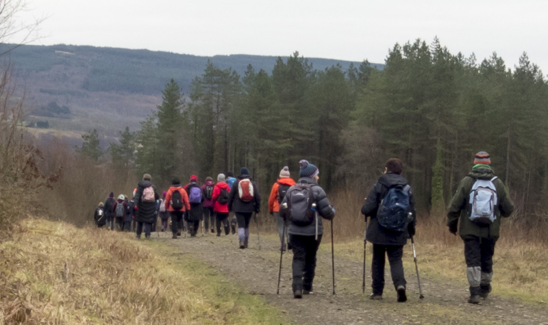 Photograph of Walking Route - Image 8