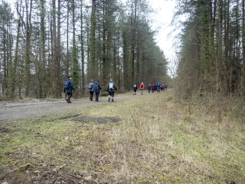 Photograph of Walking Route - Image 10