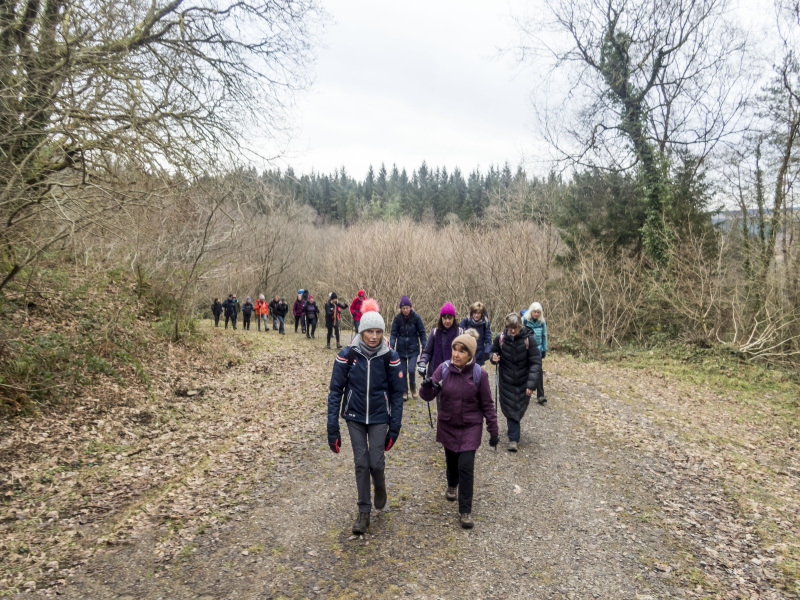 Photograph of Walking Route - Image 15