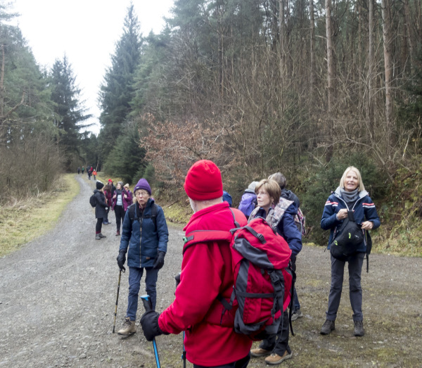 Photograph of Walking Route - Image 18