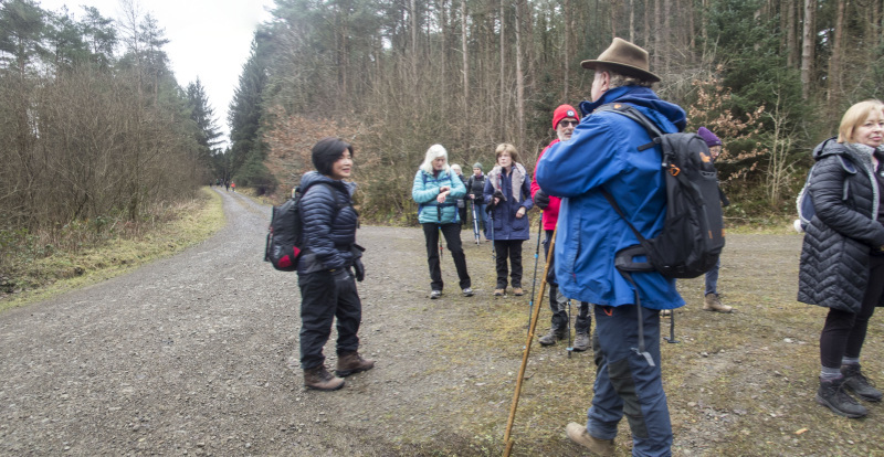 Photograph of Walking Route - Image 19