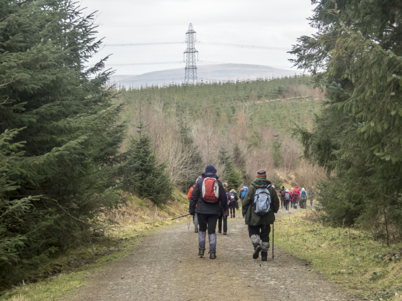 Photograph of Walking Route - Image 21