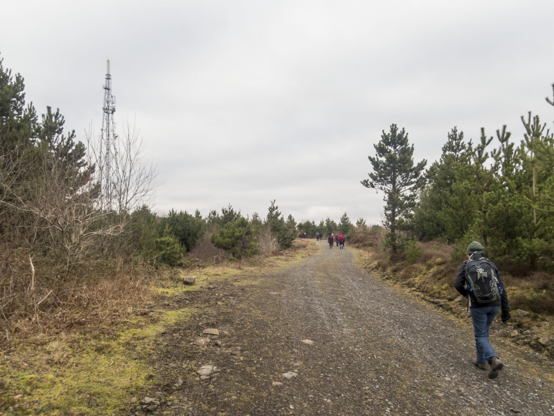 Photograph of Walking Route - Image 23