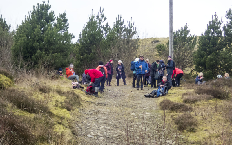 Photograph of Walking Route - Image 33