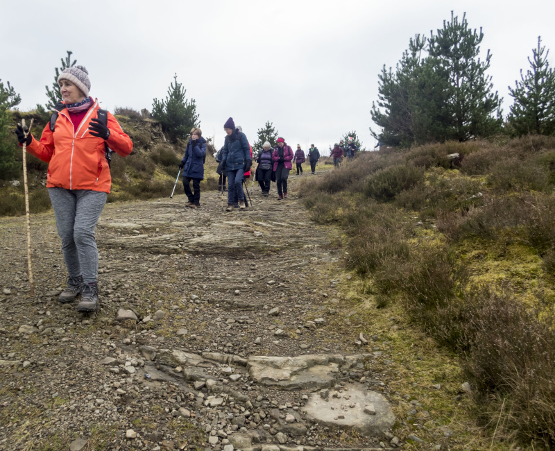 Photograph of Walking Route - Image 36