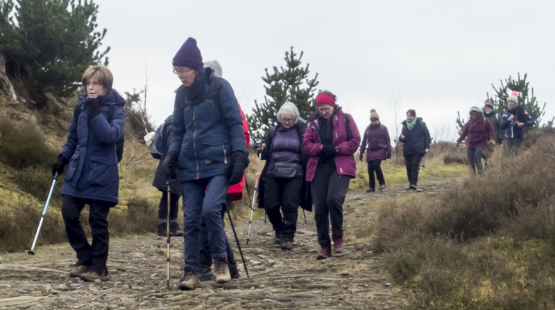 Photograph of Walking Route - Image 37