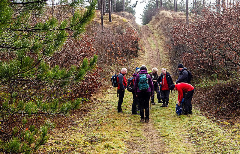 Photograph of Walking Route - Image 3