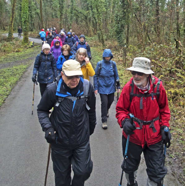 Photograph of Walking Route - Image 5