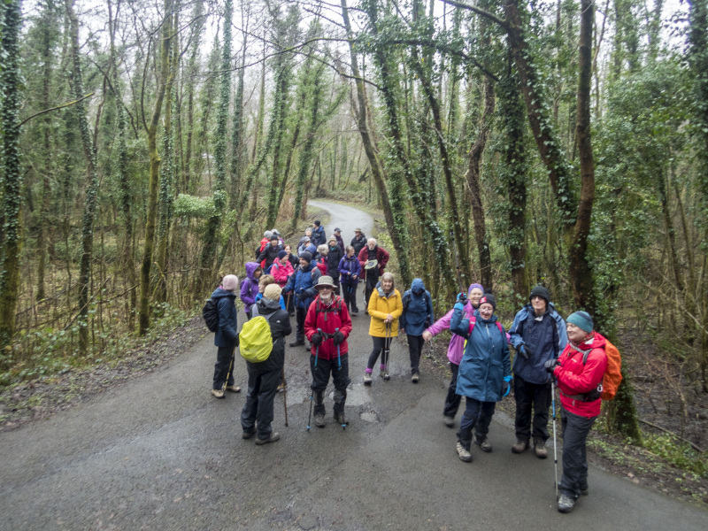 Photograph of Walking Route - Image 6