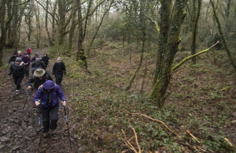 Photograph of Walking Route - Image 8