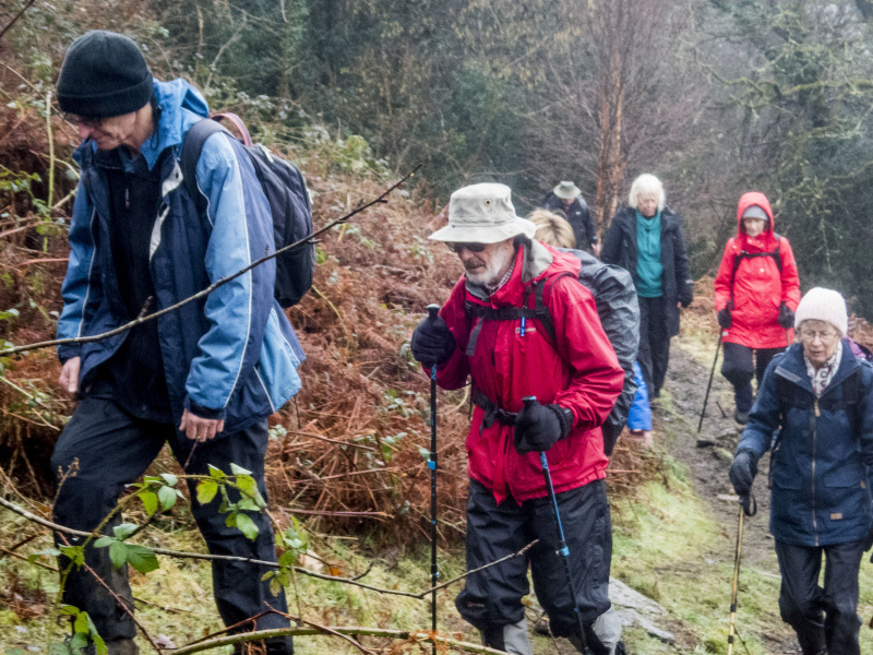 Photograph of Walking Route - Image 13