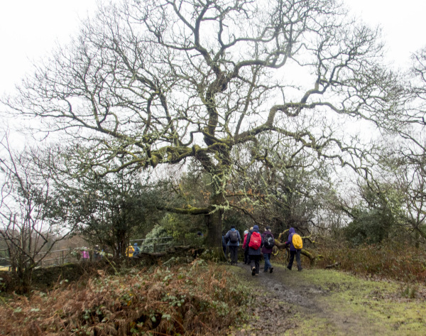 Photograph of Walking Route - Image 18