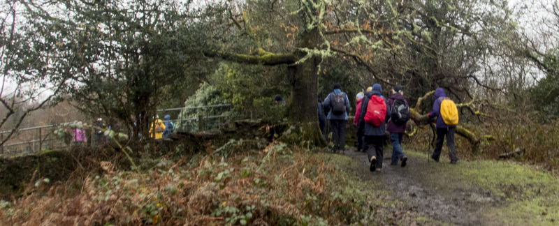 Photograph of Walking Route - Image 19