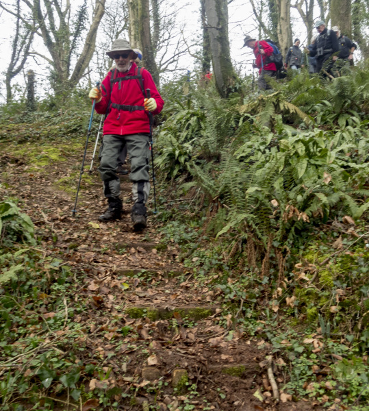 Photograph of Walking Route - Image 25