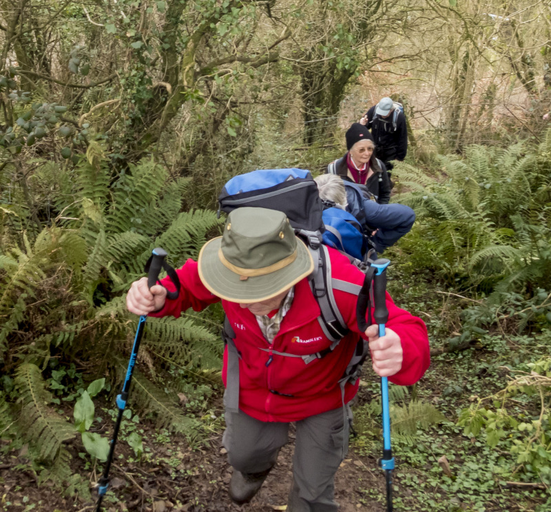 Photograph of Walking Route - Image 30