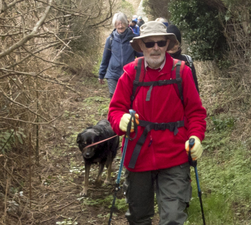 Photograph of Walking Route - Image 32