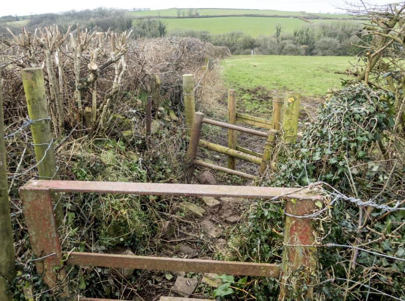 Photograph of Walking Route - Image 35