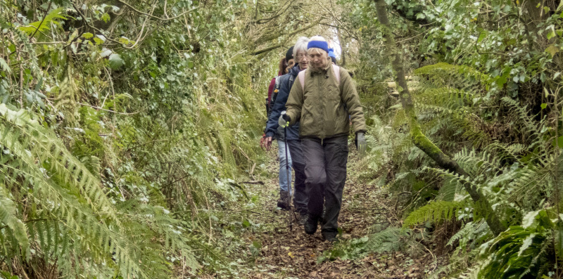 Photograph of Walking Route - Image 40