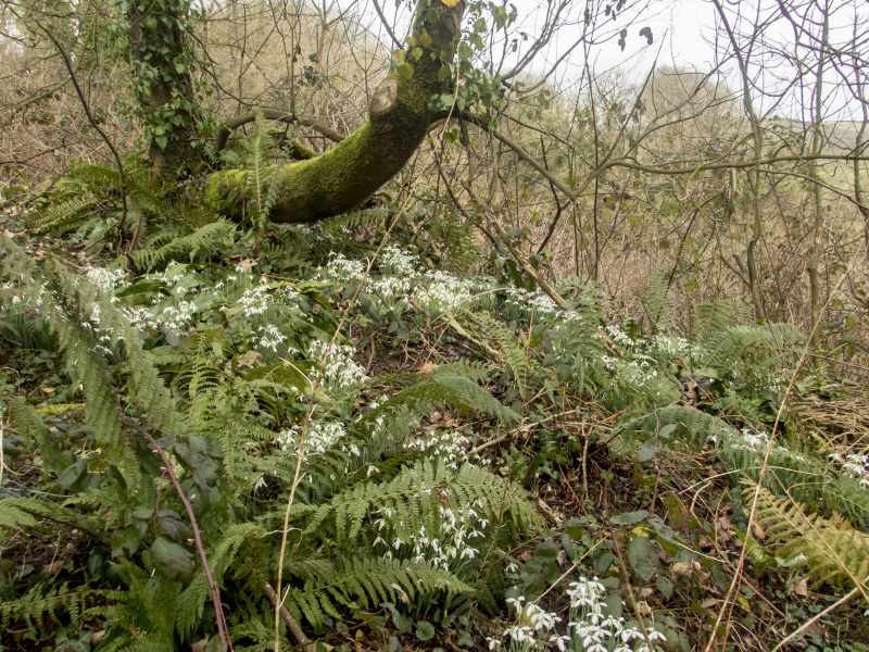 Photograph of Walking Route - Image 41