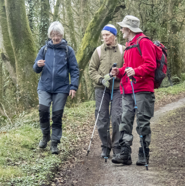 Photograph of Walking Route - Image 45