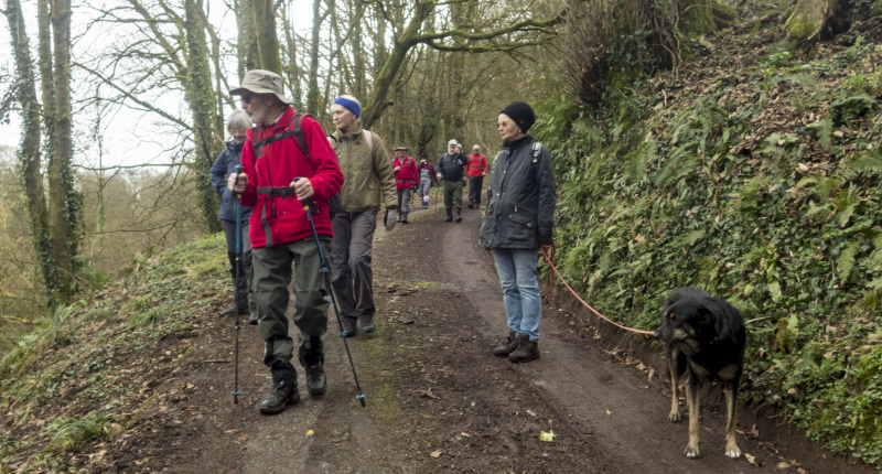 Photograph of Walking Route - Image 46