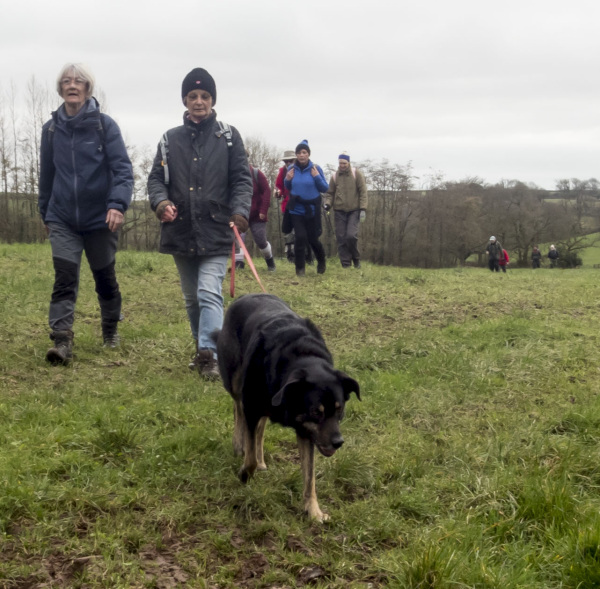 Photograph of Walking Route - Image 53