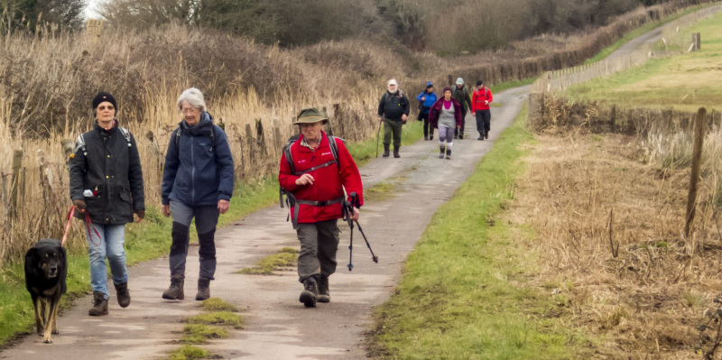 Photograph of Walking Route - Image 56