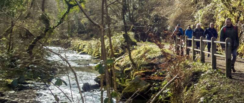 Photograph of Walking Route - Image 4