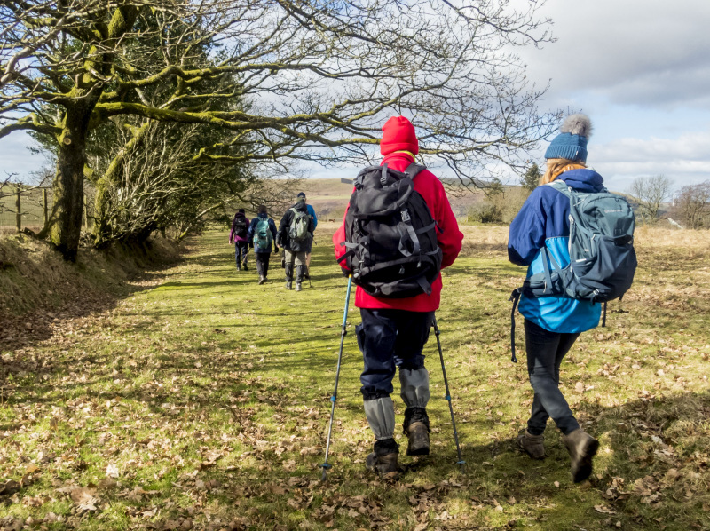 Photograph of Walking Route - Image 19