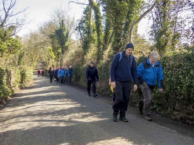 Photograph of Walking Route - Image 4