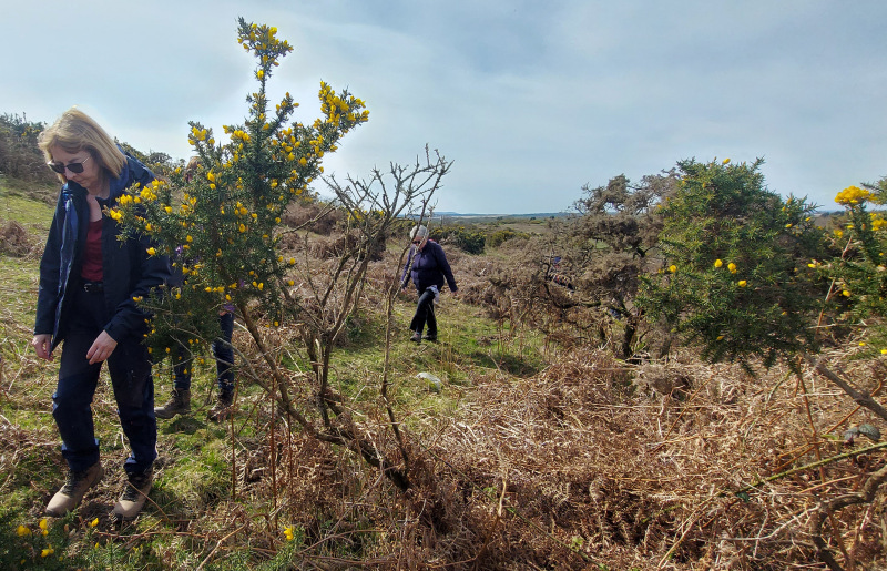 Photograph of Walking Route - Image 7