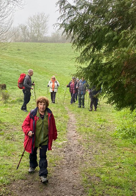 Photograph of Walking Route - Image 9