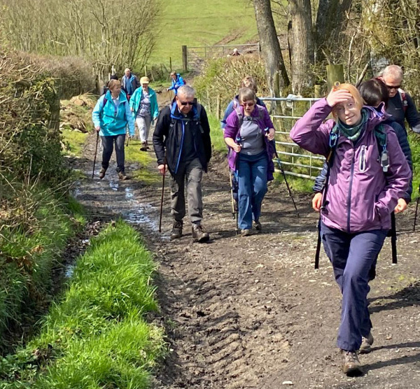 Photograph of Walking Route - Image 10