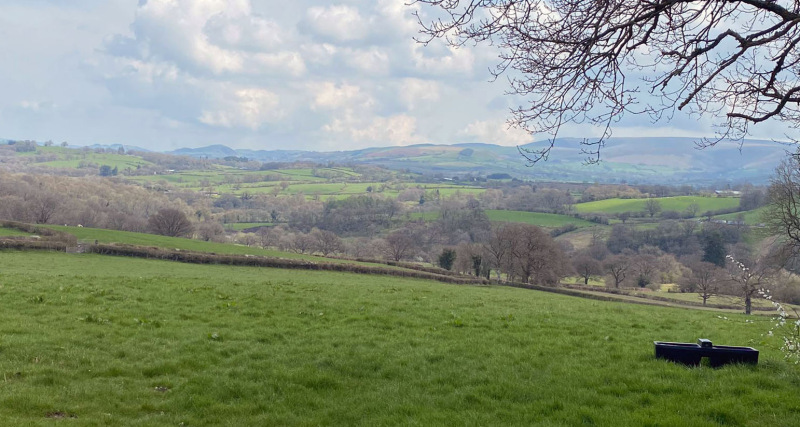 Photograph of Walking Route - Image 24